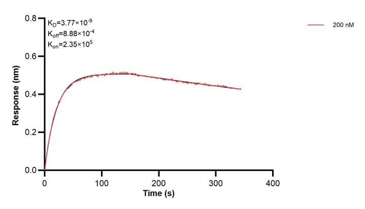Affinity and Kinetic Characterization of 68179-1-Ig