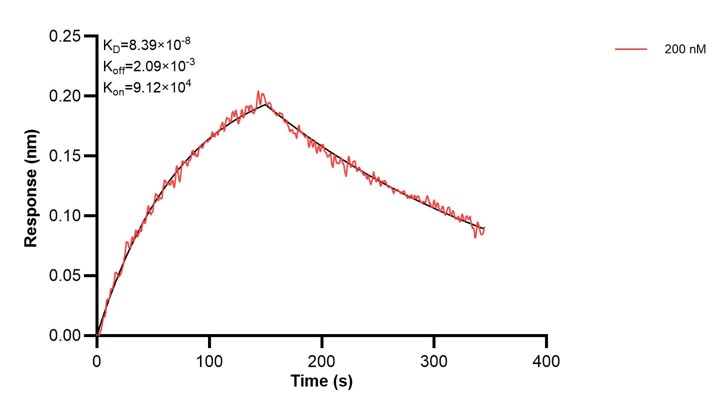 Affinity and Kinetic Characterization of 68179-2-PBS Affinity and Kinetic Characterization of 68179-2-PBS