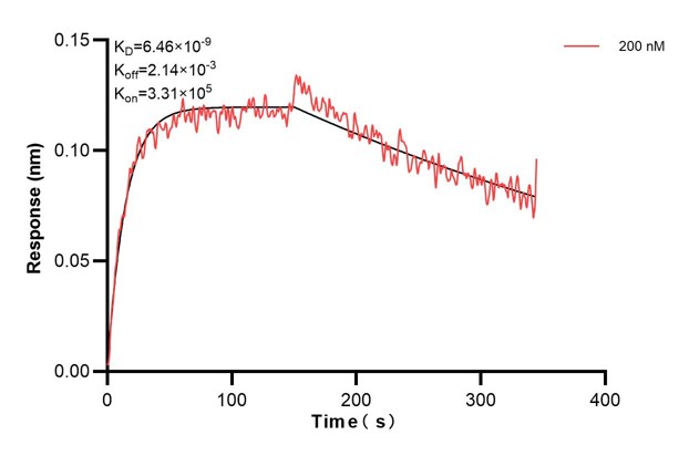 Biolayer interferometry (BLl) kinetic assay of <a class='green' href='/productredirect?CatalogNo=68194-2-Ig' target='_blank'>68194-2-Ig</a> against Human NNT was performed. The affinity constant is 6.46 nM... Affinity and Kinetic Characterization of 68194-2-PBS