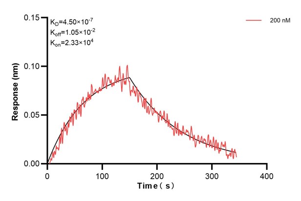 Biolayer interferometry (BLl) kinetic assay of <a class='green' href='/productredirect?CatalogNo=68199-3-Ig' target='_blank'>68199-3-Ig</a> against Human IDH3B was performed. The affinity constant is 450 nM.. Affinity and Kinetic Characterization of 68199-3-PBS