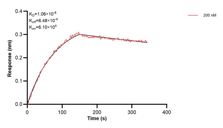 Affinity and Kinetic Characterization of 68225-2-PBS Affinity and Kinetic Characterization of 68225-2-PBS