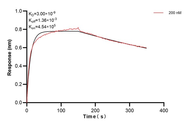 Affinity and Kinetic Characterization of 68250-2-PBS