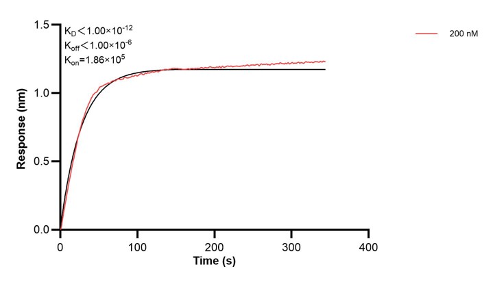 Affinity and Kinetic Characterization of 68299-2-PBS Affinity and Kinetic Characterization of 68299-2-PBS