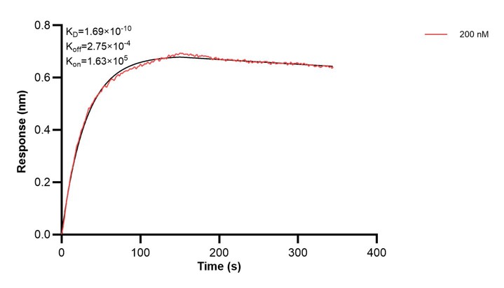 Affinity and Kinetic Characterization of 68299-3-PBS Affinity and Kinetic Characterization of 68299-3-PBS