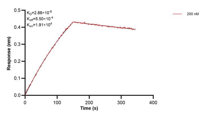 Affinity and Kinetic Characterization of 68309-2-PBS