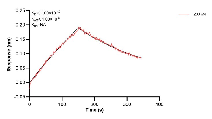 Affinity and Kinetic Characterization of 68309-4-PBS Affinity and Kinetic Characterization of 68309-4-PBS