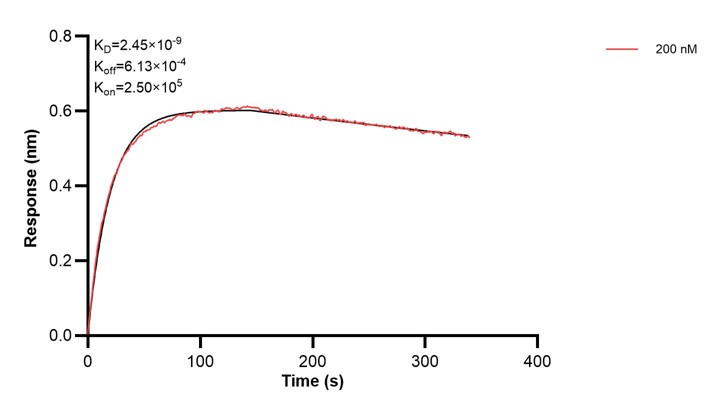 Affinity and Kinetic Characterization of 68314-5-PBS