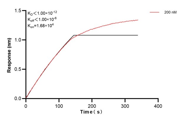 Affinity and Kinetic Characterization of 68318-2-PBS Affinity and Kinetic Characterization of 68318-2-PBS