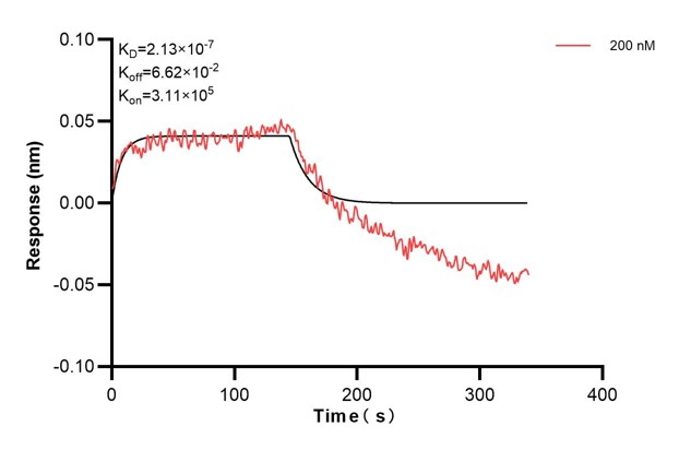 Affinity and Kinetic Characterization of 68401-4-PBS