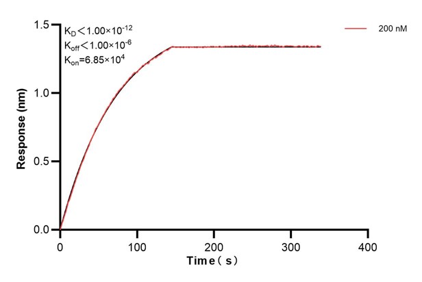 Affinity and Kinetic Characterization of 68405-2-PBS Affinity and Kinetic Characterization of 68405-2-PBS
