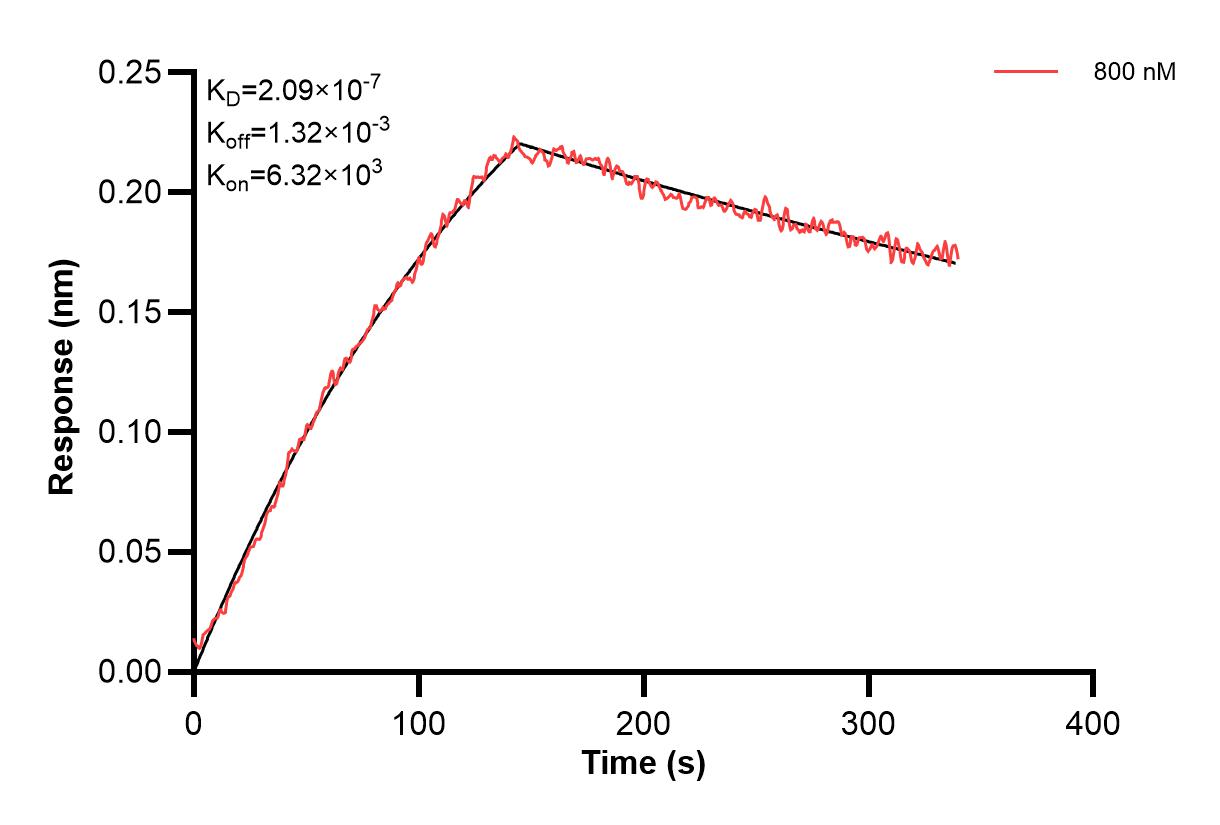 Affinity and Kinetic Characterization of 68408-2-PBS Affinity and Kinetic Characterization of 68408-2-PBS