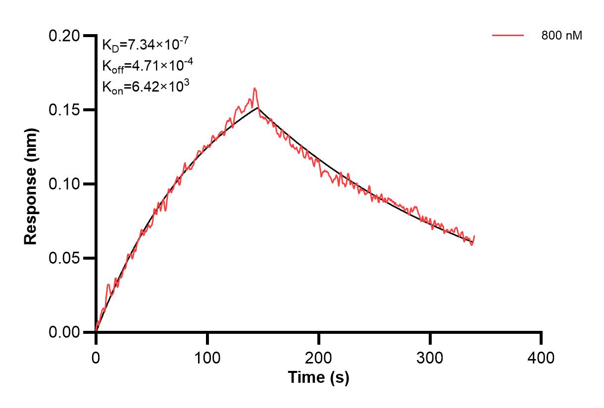 Affinity and Kinetic Characterization of 68408-3-PBS Affinity and Kinetic Characterization of 68408-3-PBS