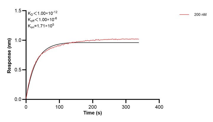 Affinity and Kinetic Characterization of 68414-3-PBS