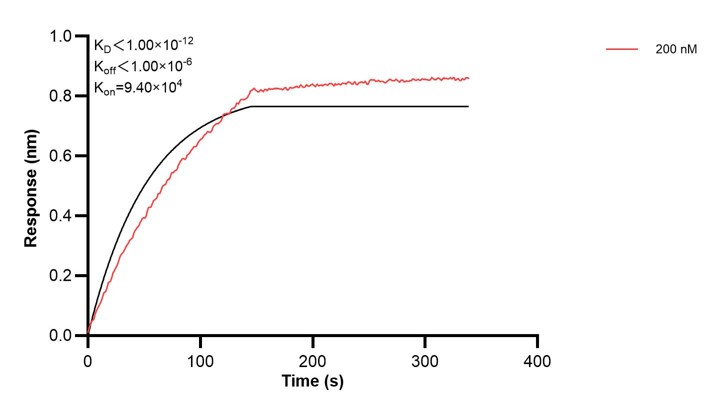 Affinity and Kinetic Characterization of 68431-1-Ig Affinity and Kinetic Characterization of 68431-1-Ig