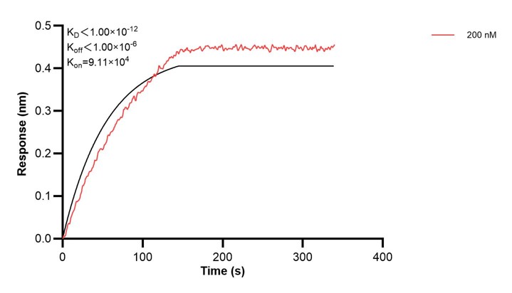 Affinity and Kinetic Characterization of 68431-2-PBS