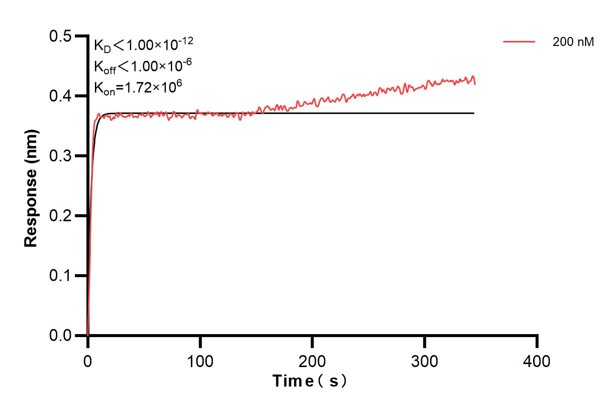 Biolayer interferometry (BLl) kinetic assays of <a class='green' href='/productredirect?CatalogNo=68450-1-Ig' target='_blank'>68450-1-Ig</a> against Human OTUD6B were performed. The affinity constant is below 1 pM. Affinity and Kinetic Characterization of 68450-1-Ig