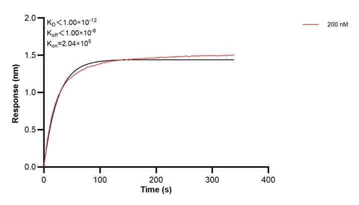 Affinity and Kinetic Characterization of 68451-2-PBS Affinity and Kinetic Characterization of 68451-2-PBS