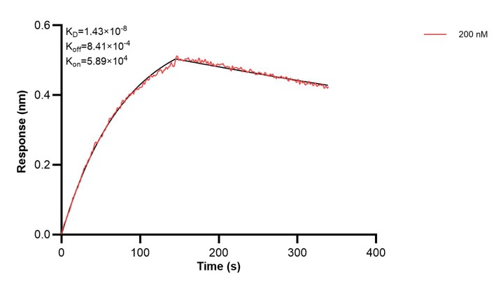 Affinity and Kinetic Characterization of 68463-2-PBS Affinity and Kinetic Characterization of 68463-2-PBS