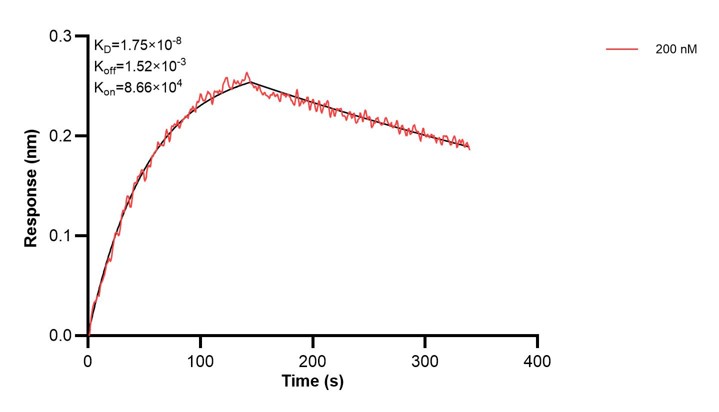Affinity and Kinetic Characterization of 68463-3-PBS Affinity and Kinetic Characterization of 68463-3-PBS