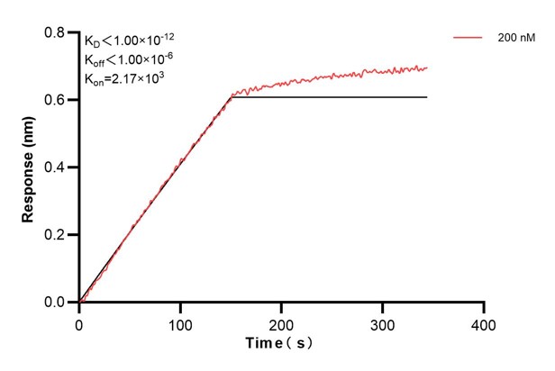 Affinity and Kinetic Characterization of 68467-3-PBS