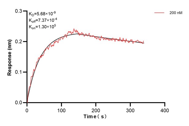 Affinity and Kinetic Characterization of 68468-3-PBS Affinity and Kinetic Characterization of 68468-3-PBS