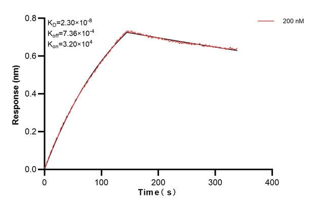 Affinity and Kinetic Characterization of 68468-4-PBS Affinity and Kinetic Characterization of 68468-4-PBS