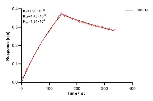 Affinity and Kinetic Characterization of 68468-5-PBS Affinity and Kinetic Characterization of 68468-5-PBS