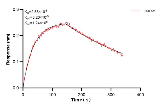 Affinity and Kinetic Characterization of 68476-2-PBS Affinity and Kinetic Characterization of 68476-2-PBS
