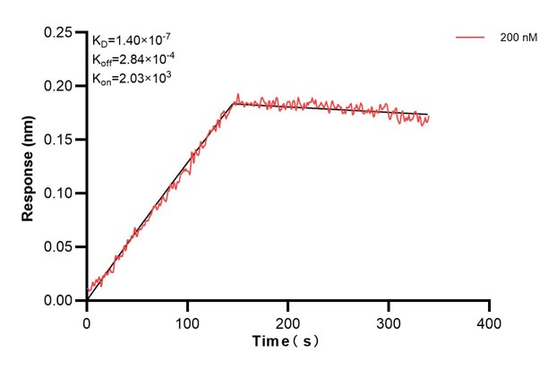 Affinity and Kinetic Characterization of 68491-2-PBS