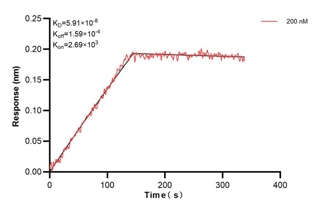Affinity and Kinetic Characterization of 68491-4-PBS