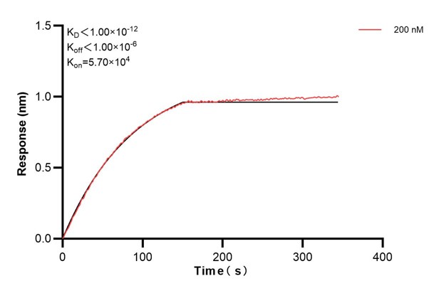 Biolayer interferometry (BLl) kinetic assays of <a class='green' href='/productredirect?CatalogNo=68492-4-Ig' target='_blank'>68492-4-Ig</a> against Human CIAPIN1 were performed. The affinity constant is below 1 pM. Affinity and Kinetic Characterization of 68492-4-PBS