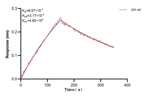 Affinity and Kinetic Characterization of 68515-1-Ig