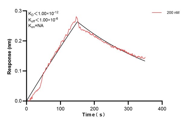 Affinity and Kinetic Characterization of 68515-2-PBS