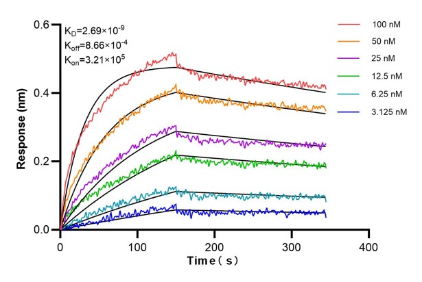 Affinity and Kinetic Characterization of 68532-2-Ig