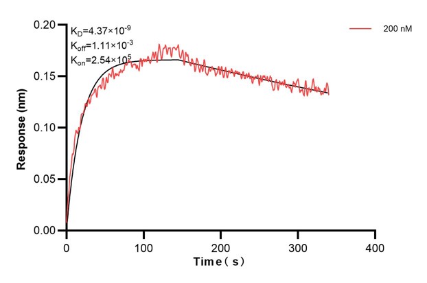 Affinity and Kinetic Characterization of 68545-4-PBS Affinity and Kinetic Characterization of 68545-4-PBS
