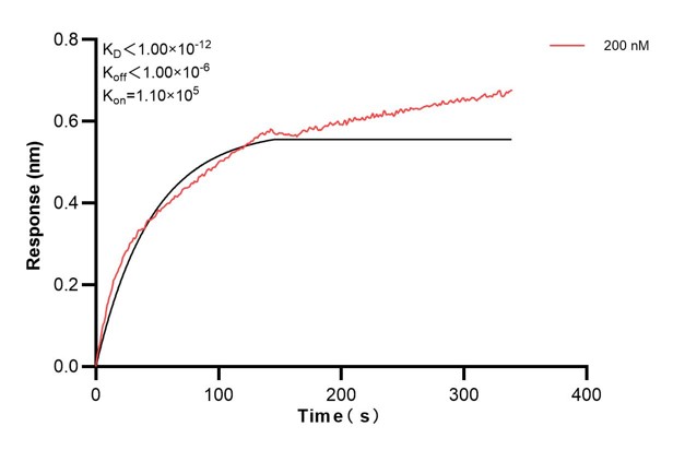 Affinity and Kinetic Characterization of 68593-2-PBS Affinity and Kinetic Characterization of 68593-2-PBS