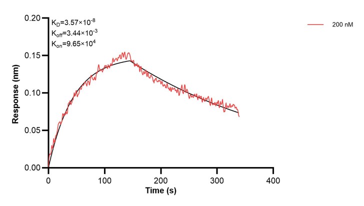 Affinity and Kinetic Characterization of 68593-3-PBS Affinity and Kinetic Characterization of 68593-3-PBS