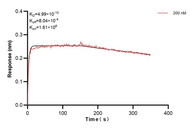 Affinity and Kinetic Characterization of 68661-1-PBS