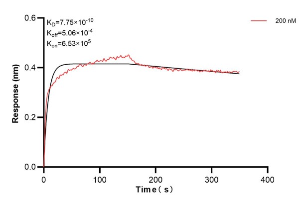 Affinity and Kinetic Characterization of 68661-2-PBS