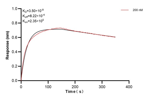 Affinity and Kinetic Characterization of 68662-1-PBS