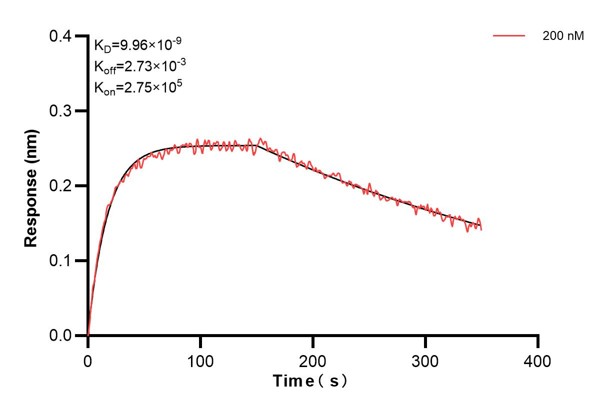Affinity and Kinetic Characterization of 68683-2-PBS
