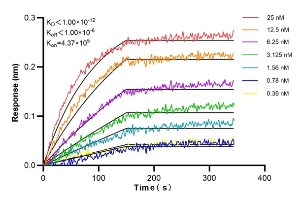 Affinity and Kinetic Characterization of 68703-1-PBS