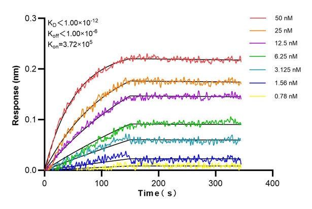 Affinity and Kinetic Characterization of 68703-2-PBS