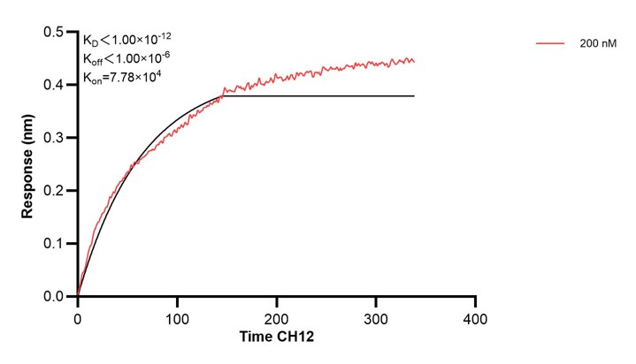 Affinity and Kinetic Characterization of 68722-5-PBS Affinity and Kinetic Characterization of 68722-5-PBS
