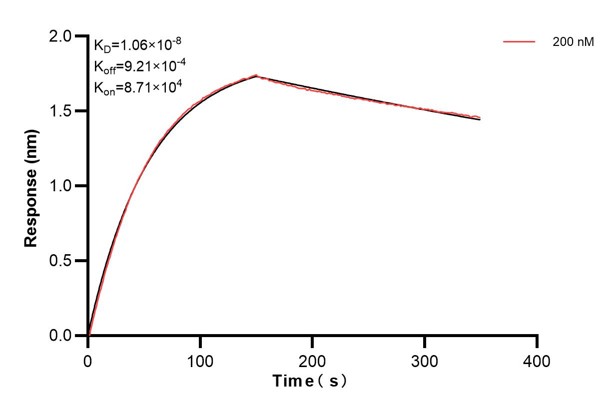 Affinity and Kinetic Characterization of 68738-1-PBS Affinity and Kinetic Characterization of 68738-1-PBS