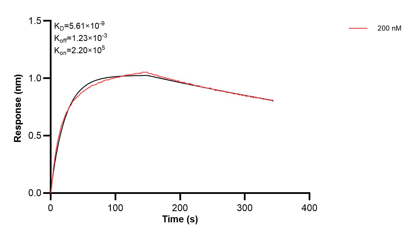 Affinity and Kinetic Characterization of 68748-1-PBS