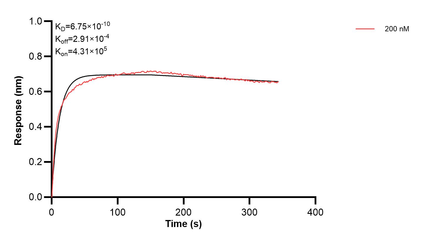 Affinity and Kinetic Characterization of 68748-2-PBS Affinity and Kinetic Characterization of 68748-2-PBS