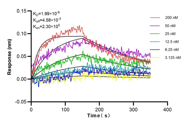 Affinity and Kinetic Characterization of 68750-1-Ig