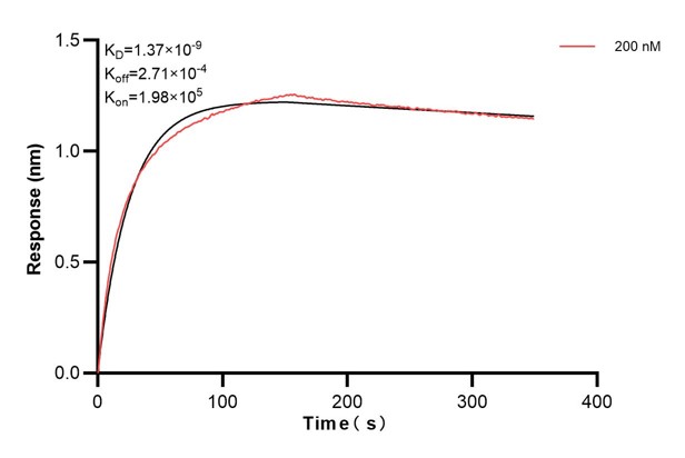 Affinity and Kinetic Characterization of 68759-1-PBS Affinity and Kinetic Characterization of 68759-1-PBS