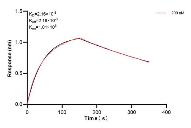 Affinity and Kinetic Characterization of 68759-2-PBS Affinity and Kinetic Characterization of 68759-2-PBS